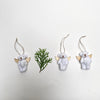 box of 3 bears
