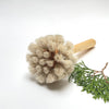 dish scrub brush