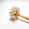 dish scrub brush