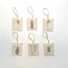botanical ornaments