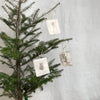 botanical ornaments