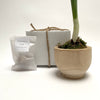 paperwhite gift set