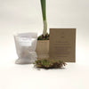 paperwhite gift set