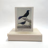 bird book panels