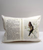 bird book pillow