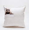 baby animal pillows
