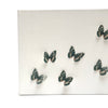 butterfly canvas