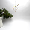 brass mistletoe