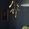 brass mistletoe