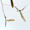 brass mistletoe