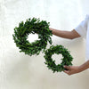 wreath- boxwood