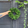 wreath- boxwood