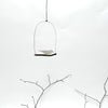 hanging bird