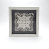 framed lace doilies