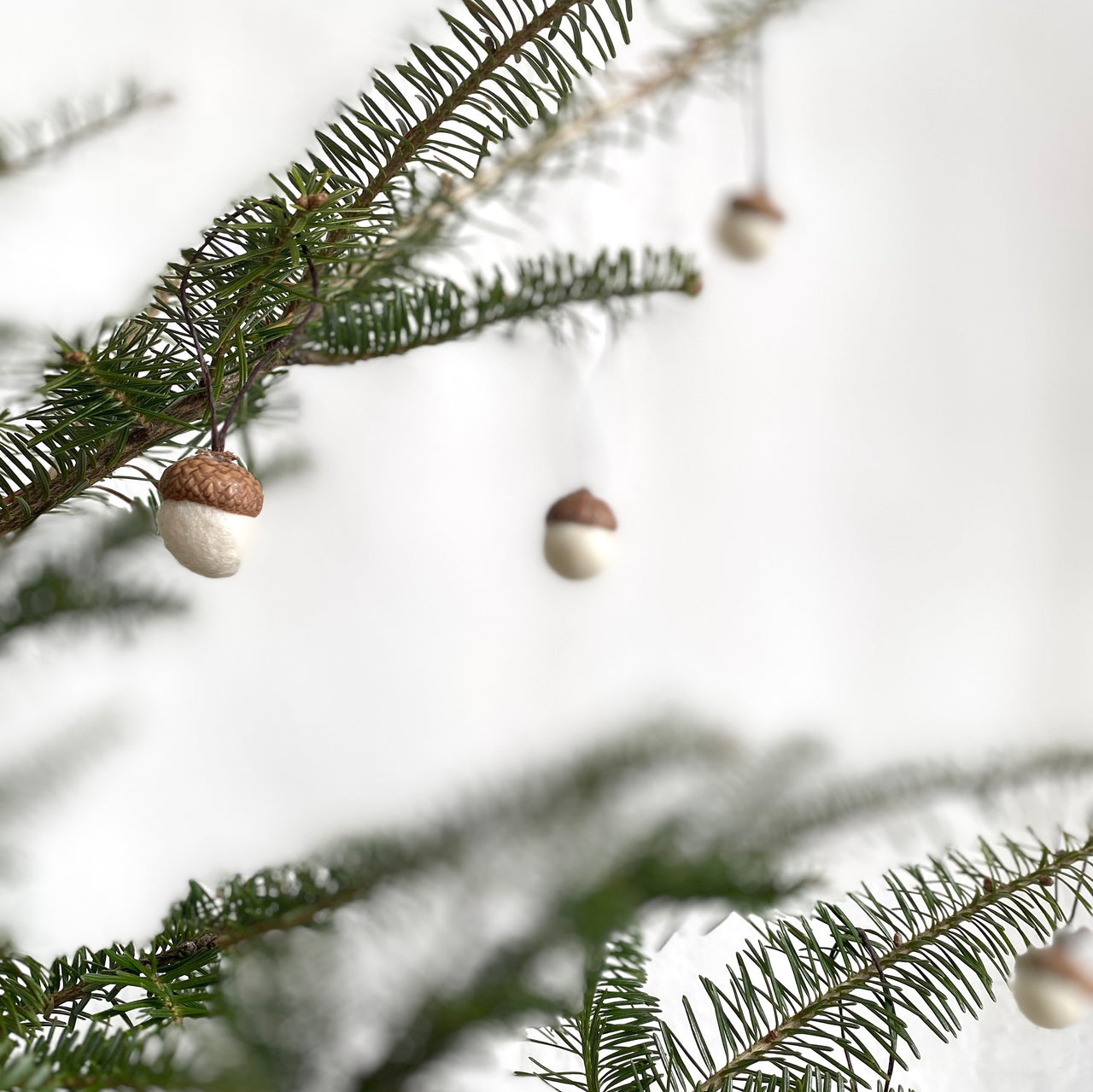 felt acorns (with string)