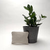 oatmeal linen case ( small )