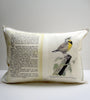 bird book pillow