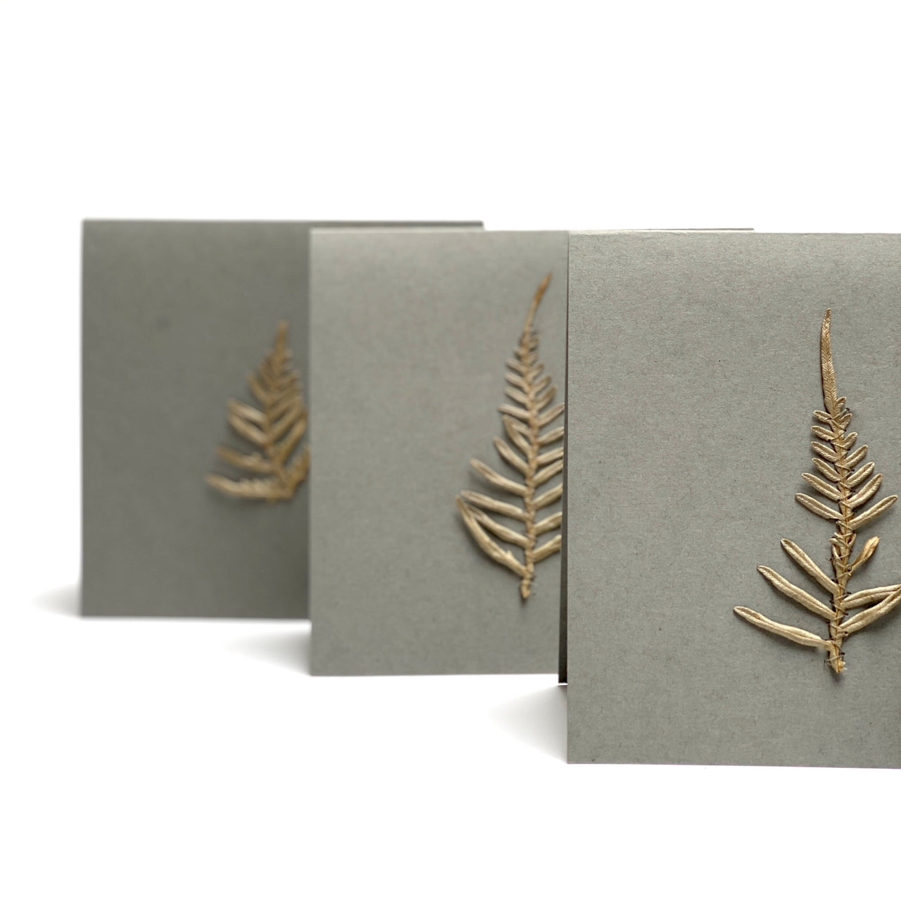 fern cards (set of 3)