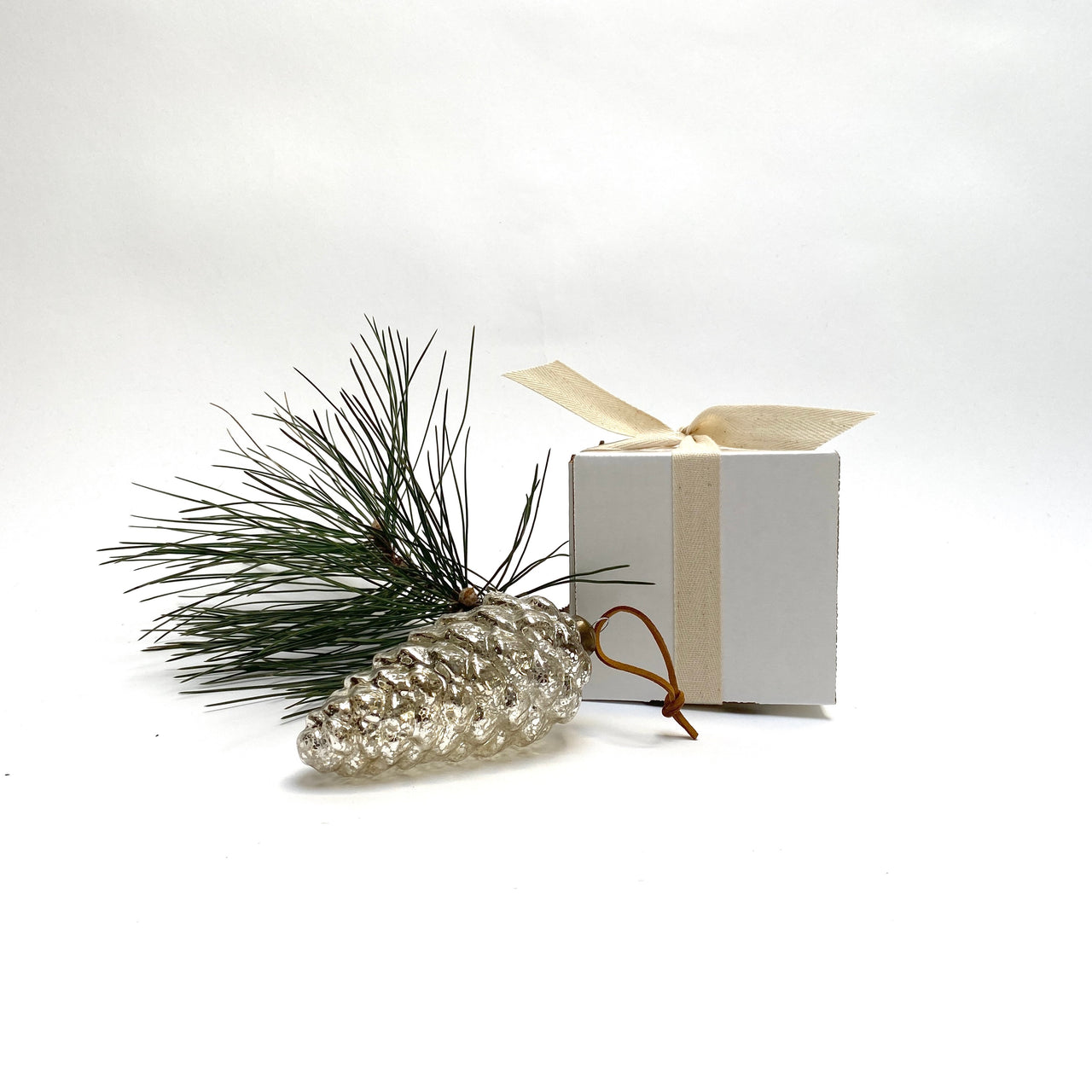 pine cone in a box