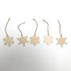 set of snowflakes in a bag